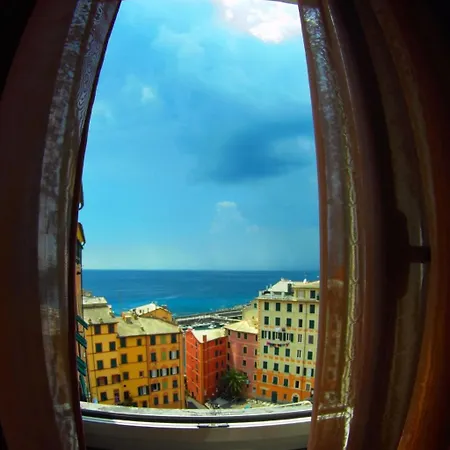 House Camogli
