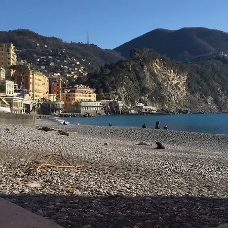House Camogli